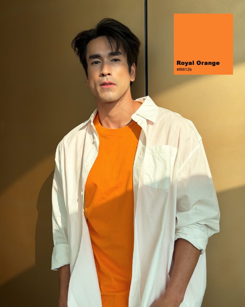 ณเดชน์ คูกิมิยะ ผลงานละคร เกมร้ายเกมรัก ทุ่งเสน่หา ช่อง 3